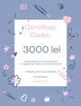 Подарочный сертификат, 3000 лей