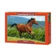 Пазл Касторланд Reddish-brown horse, 1000 эл.