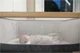 Кроватка 2 в 1 Tutti Bambini Co-Sleeper CoZee Oak