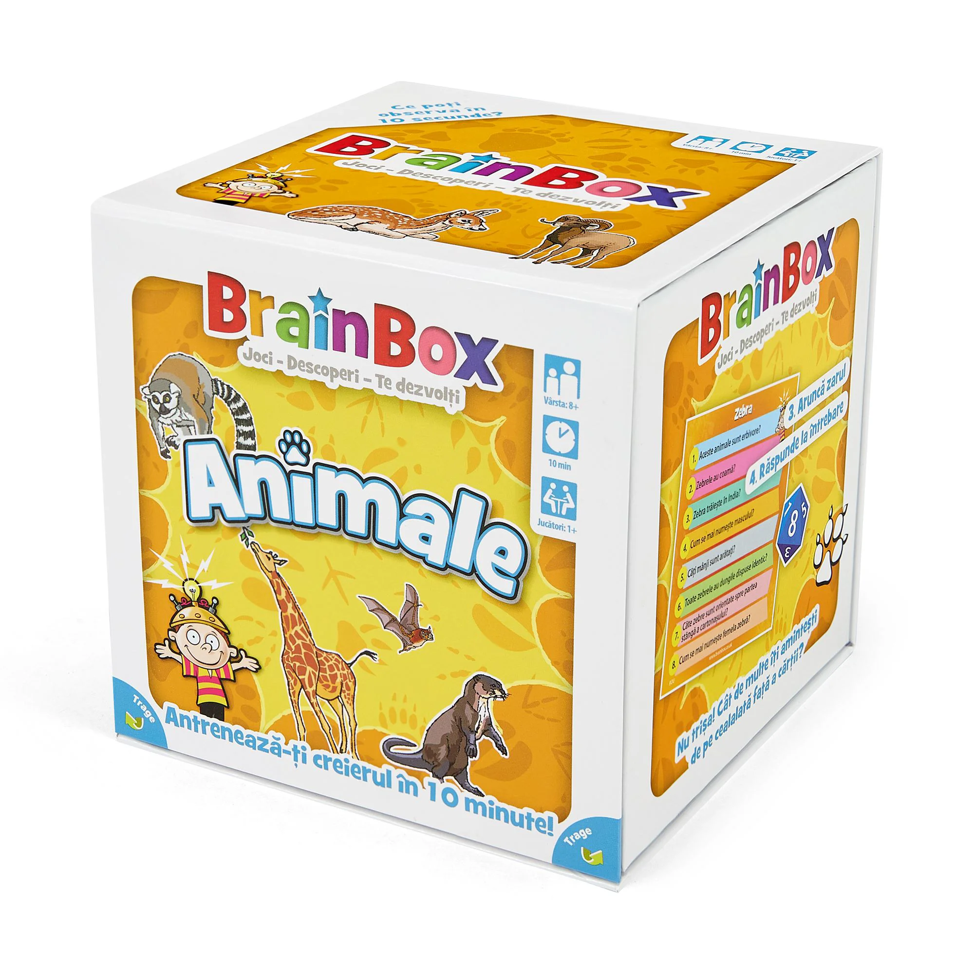 Развивающая игра BrainBox Животные