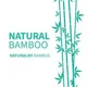 Paturica BabyOno Albastra din fibre de bambus, 75x100 cm