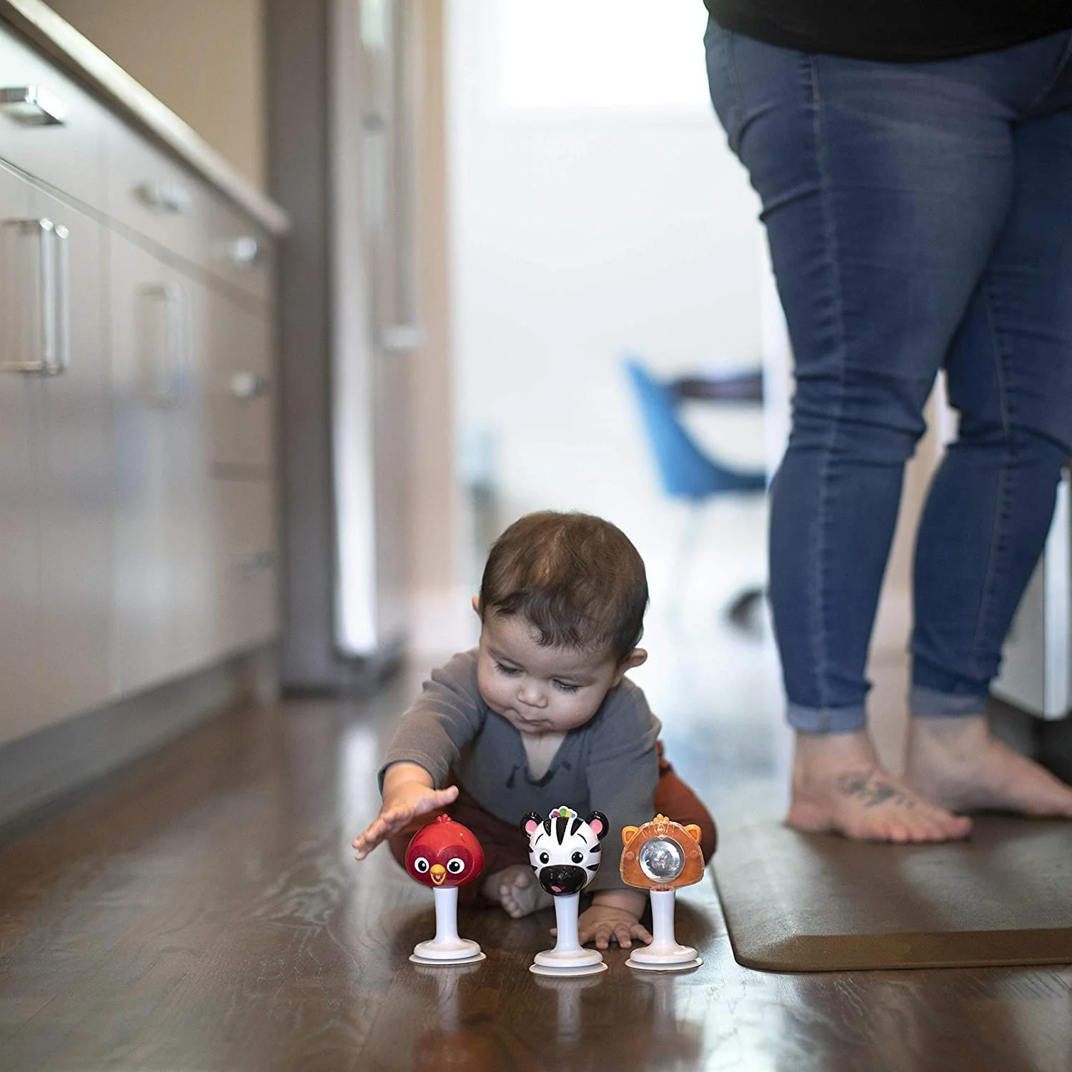 Набор из 3 мультисенсорных игрушек Baby Einstein в виде животных