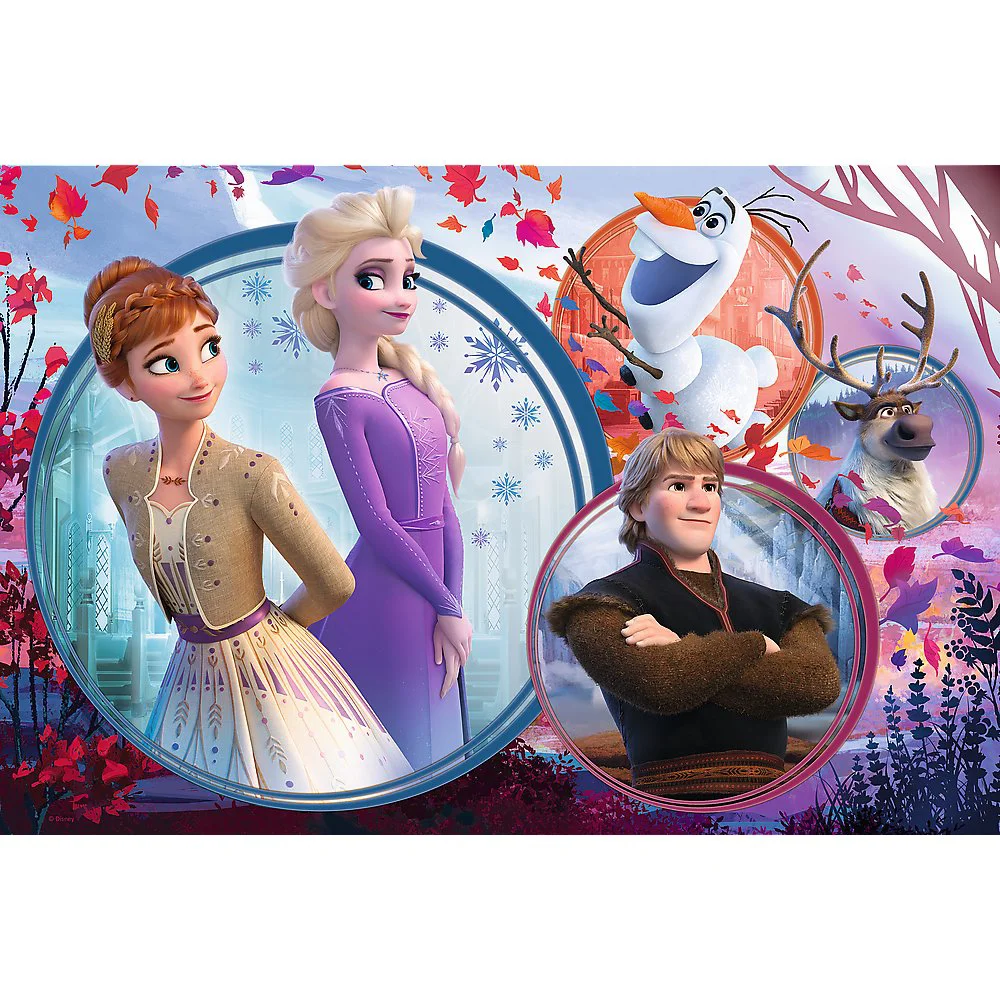 Puzzle Trefl Sister adventure / Disney Frozen II, 160 piese