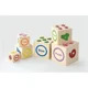 Set de cuburi educative din lemn Viga Toys